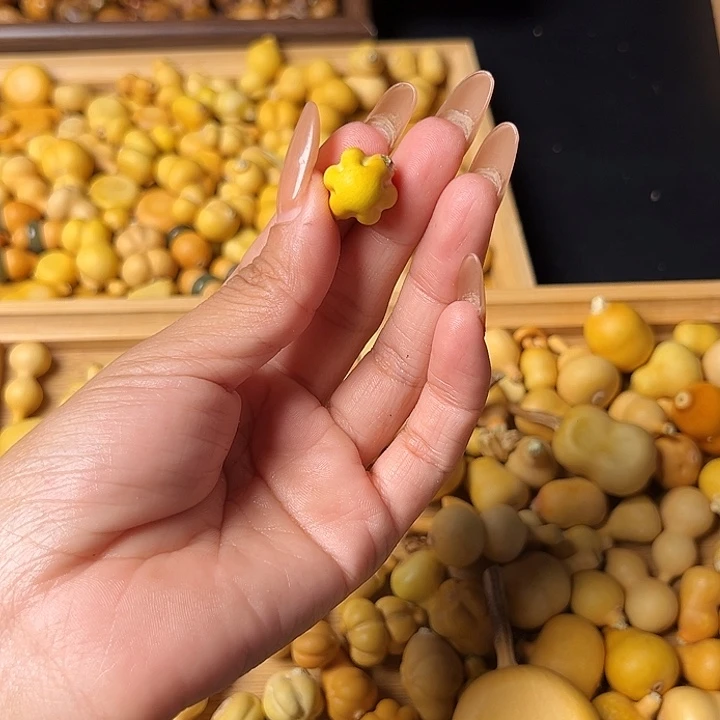 喵***5大叶紫檀（黑酸枝木类）