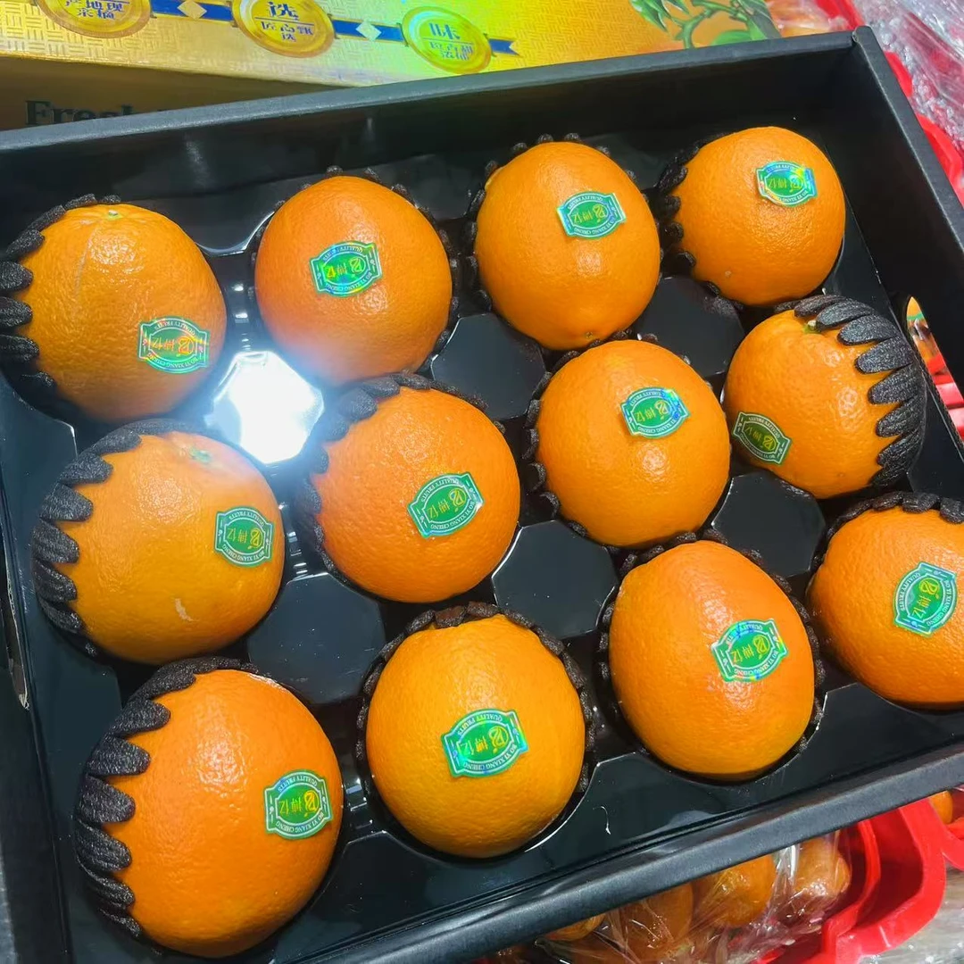 【礼盒装】美好前橙 清甜水分足果肉嫩 整箱12颗装带箱9.6斤左右