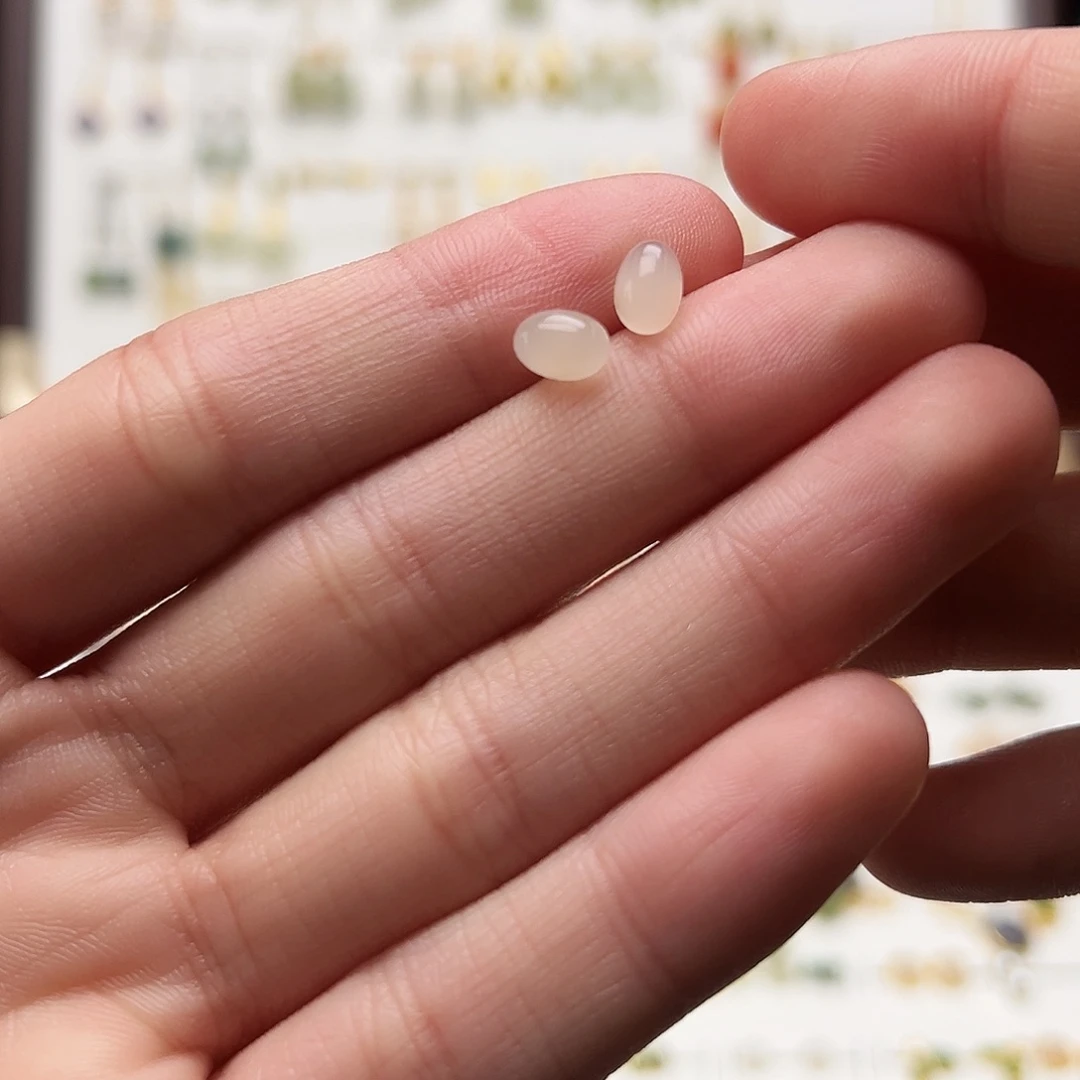 银S925镶嵌和田玉耳饰