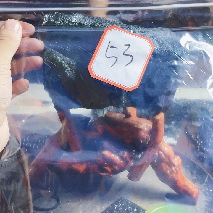 毛***杏未镶嵌蛇纹石玉岫玉原石