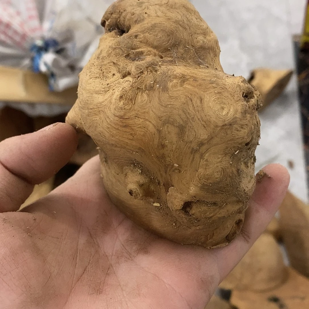 文***产荔枝木荔枝木原料