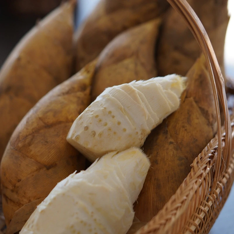 3斤大号 临安天目头茬冬笋  本地精选黄泥冬笋
