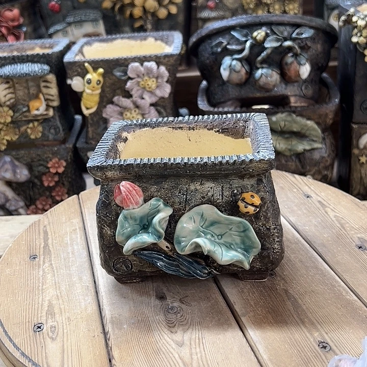 青藤多肉花盆百搭