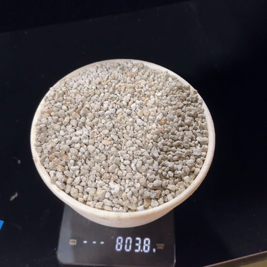 沙***土土啦啦啦啦啦啦啦