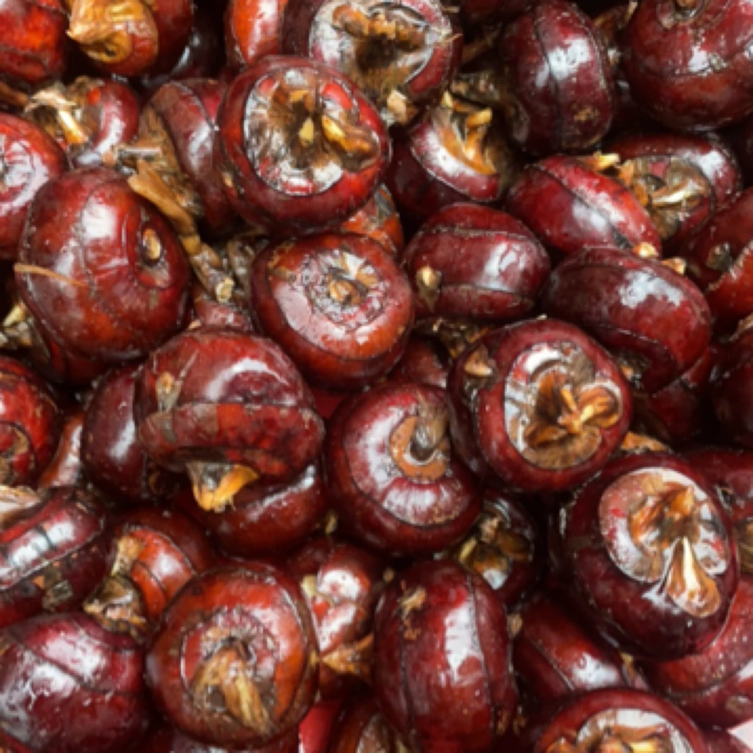 重庆荣昌土货马蹄