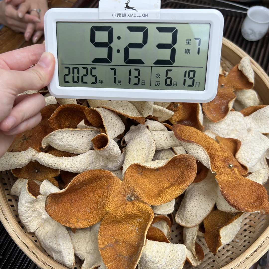 2024新会梅江圈枝大红新皮 ①小鹿收茶  新会新皮 7月13