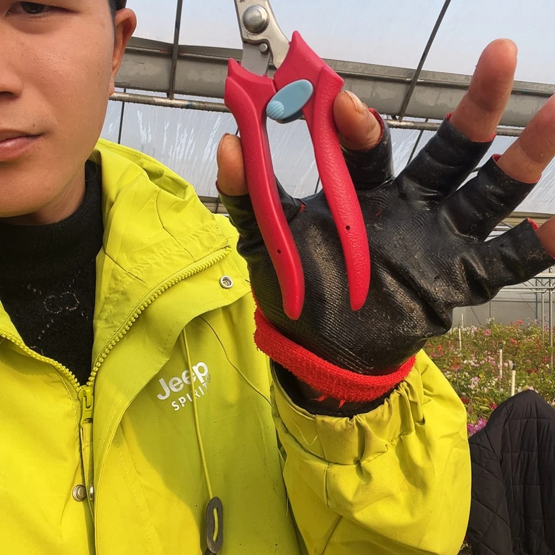 剪刀小将推荐喜欢哥姐下单