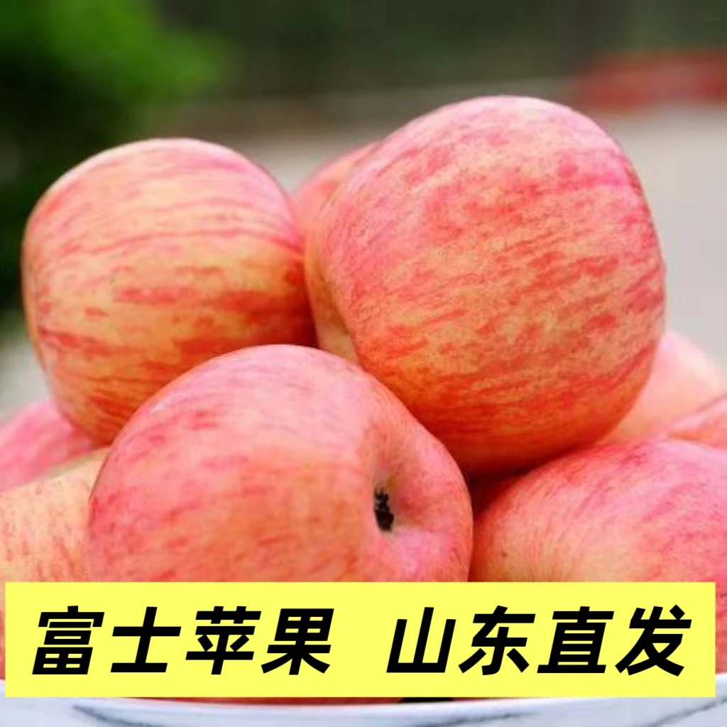 山东直发富士苹果整箱批发