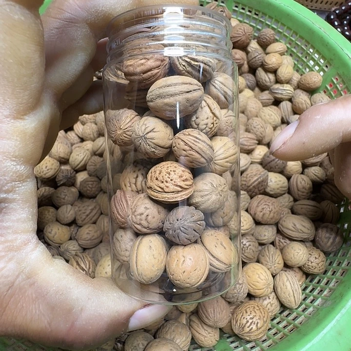 核桃木/黑胡桃（胡桃木）核桃散珠福利