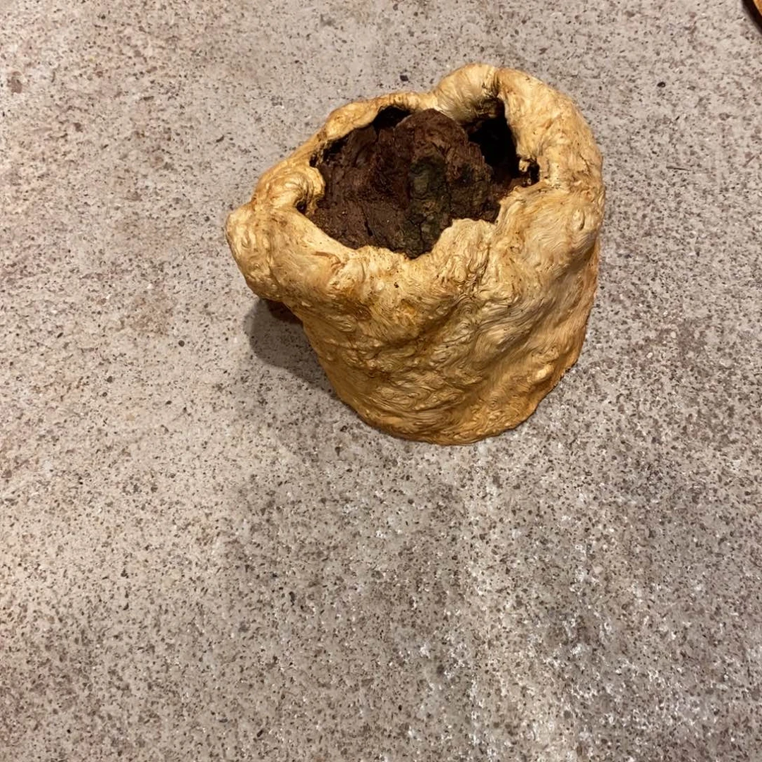 狂***澜荔枝木随形木材一个
