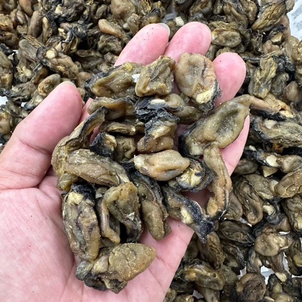 【顺丰直达】北海本港野生杂鱼 拼单 现称现拍 速冻锁鲜发货