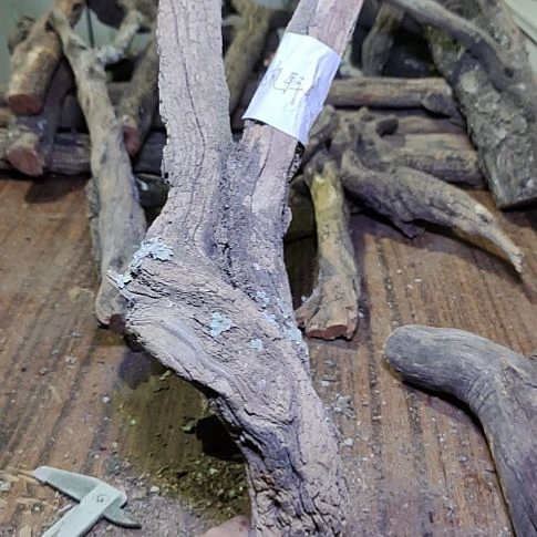 小***天火琉璃原杈，不保沉水，慎拍！