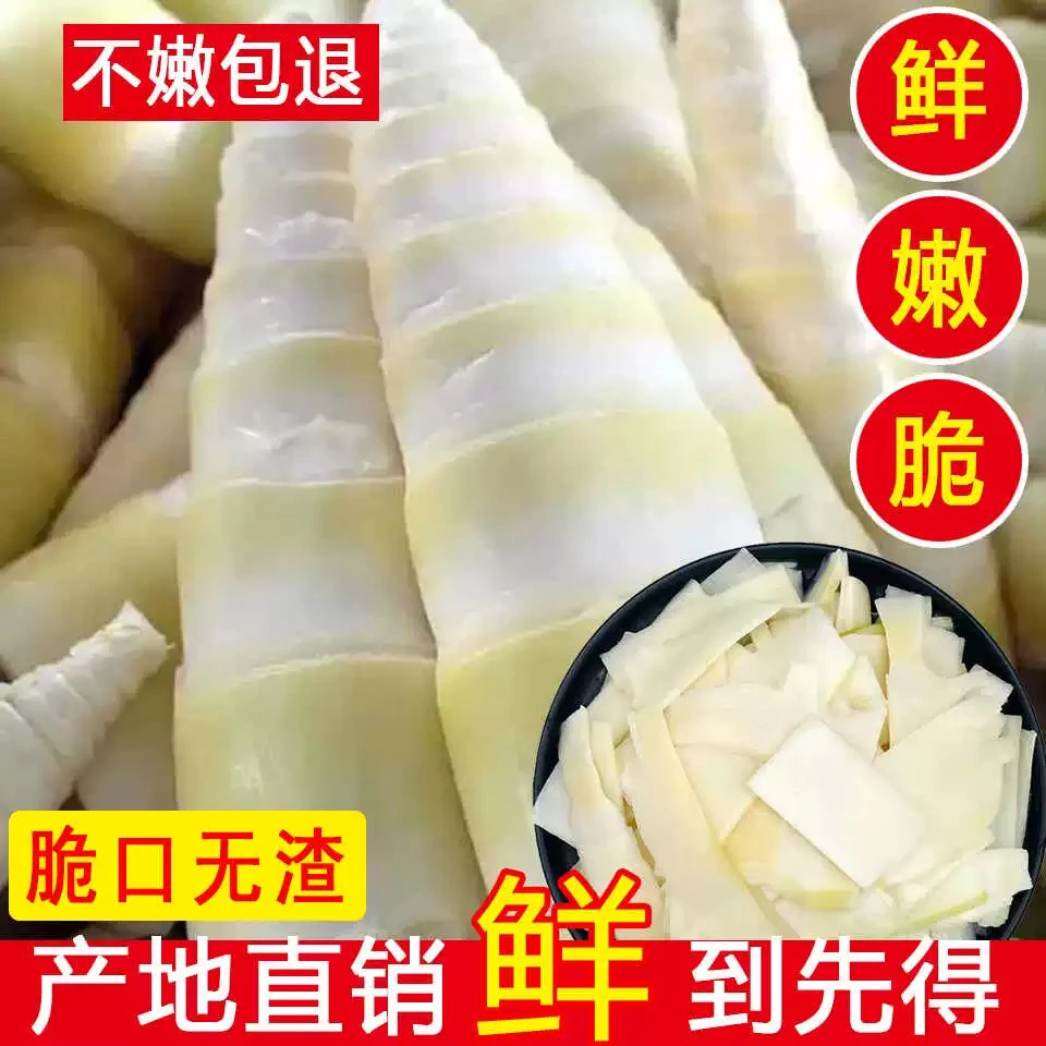 新鲜现挖广西麻竹笋片嫩白脆口开袋即炒