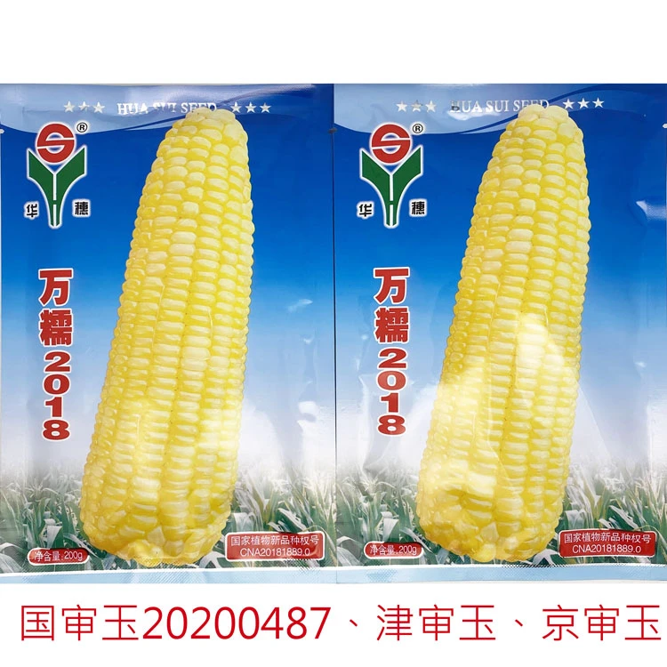 华穗万糯2018黄糯玉米种籽高产大棒非转黄粘糯玉米种子200克