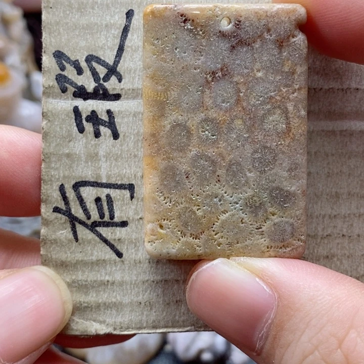 硅化珊瑚（珊瑚玉）颈饰未镶嵌