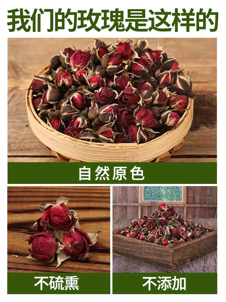 云南下山金边玫瑰