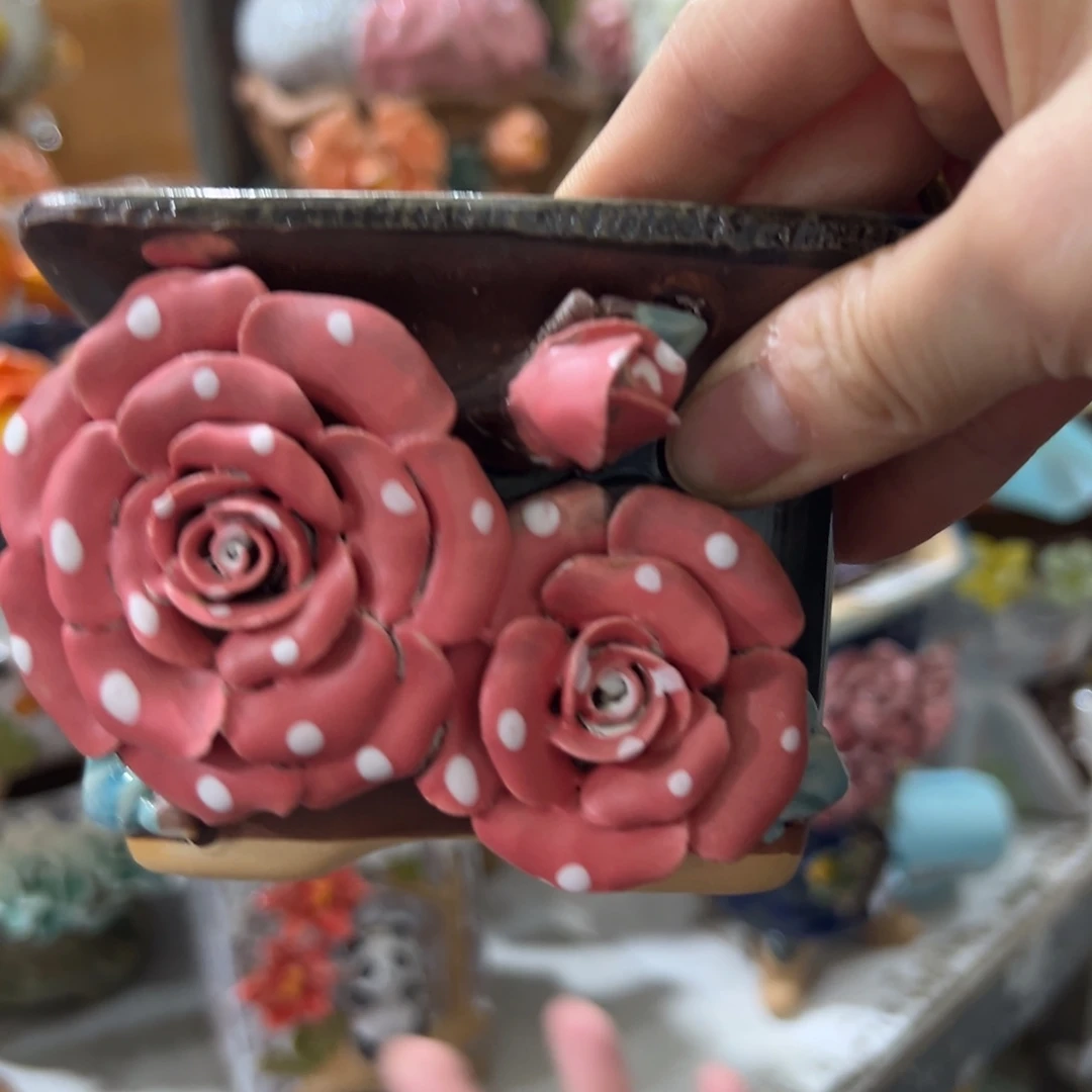 多肉花盆满20发爱退拉黑