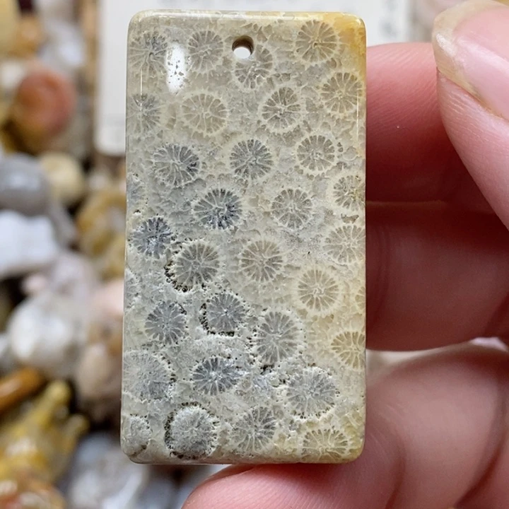 颈饰未镶嵌硅化珊瑚（珊瑚玉）有瑕 小