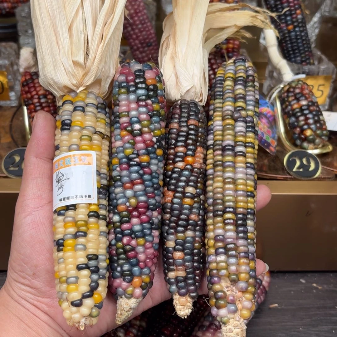 柏香籽/百香籽吊坠盐***王