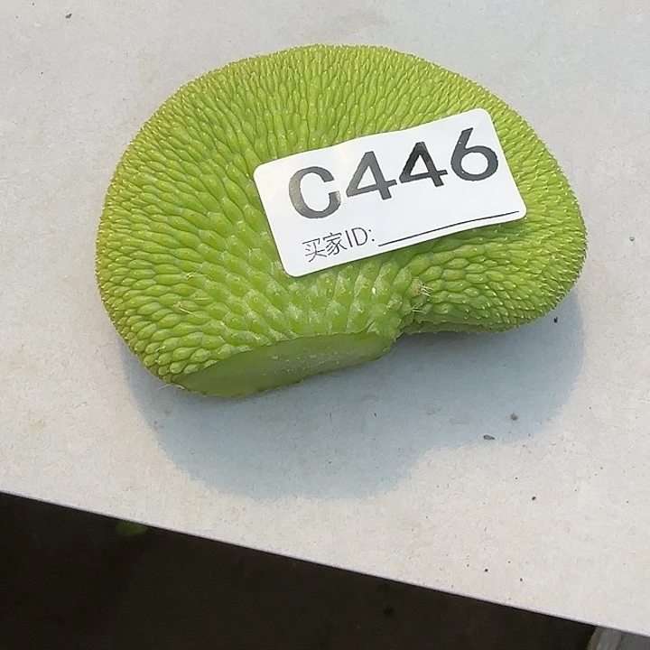 用****1青蛇缀化头446