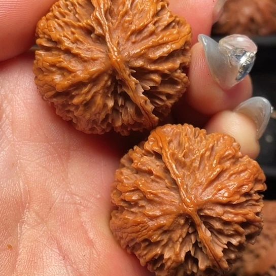 文玩核桃吊坠秦岭山脉核桃