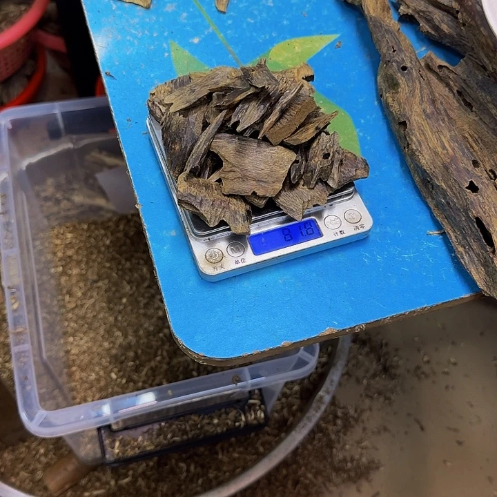 已***。沉香碎屑沉香陆河81克