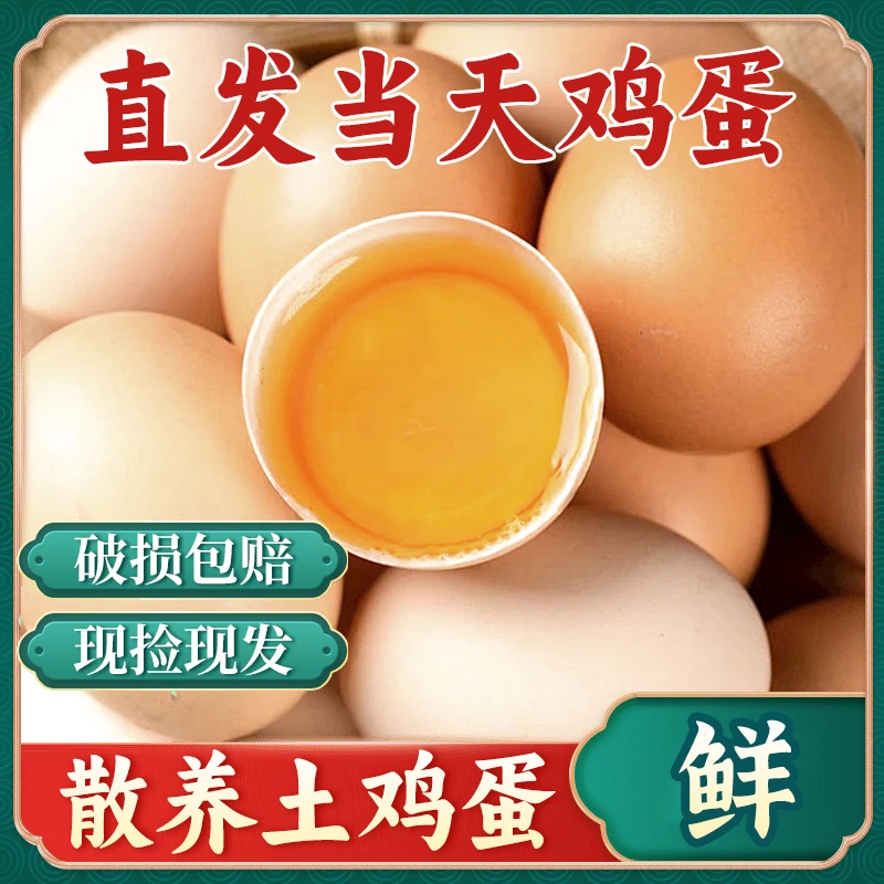10枚土鸡蛋 农家散养土鸡蛋  现捡现发  破损包赔 10枚/400g