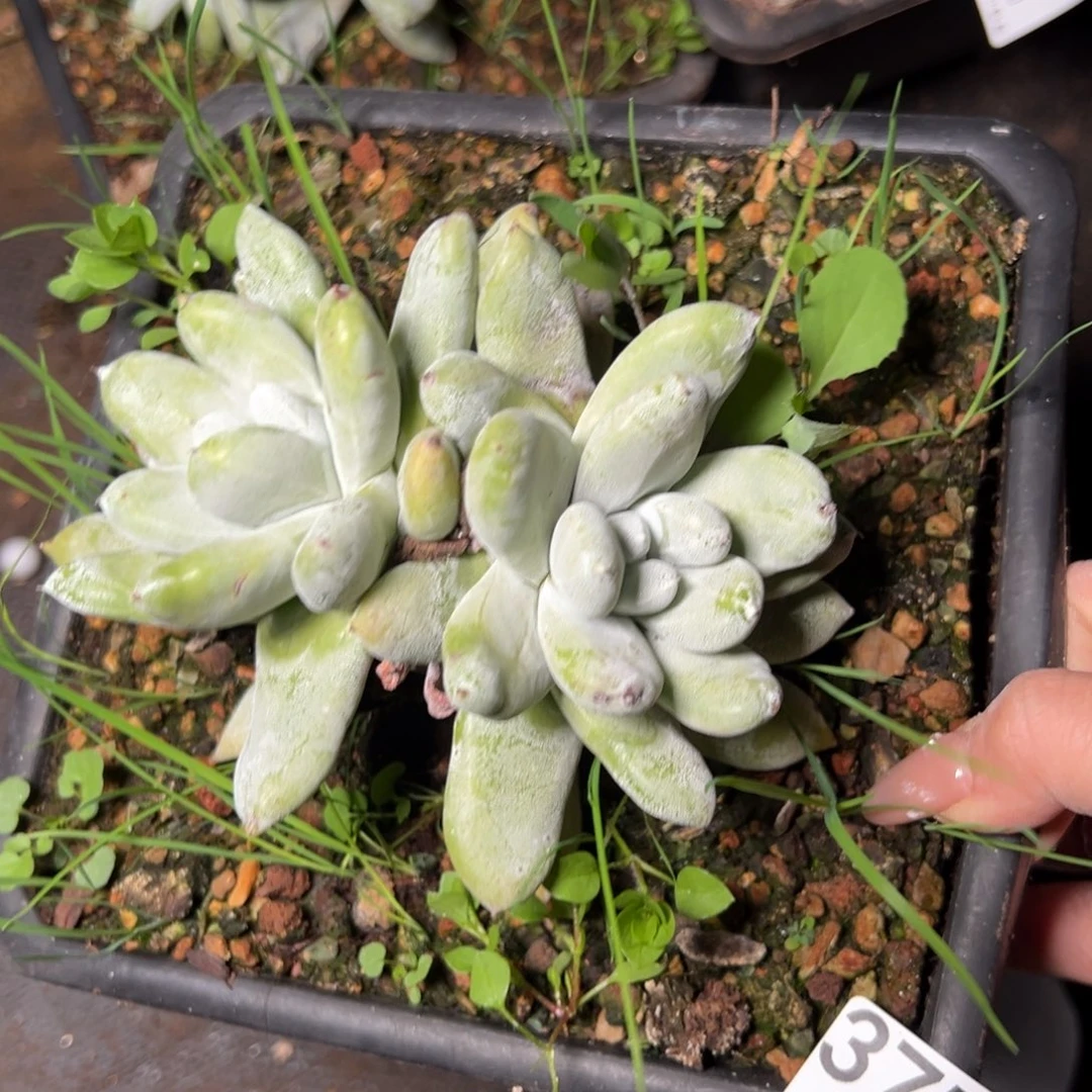 3758哈哈哈哈哈哈哈哈哈