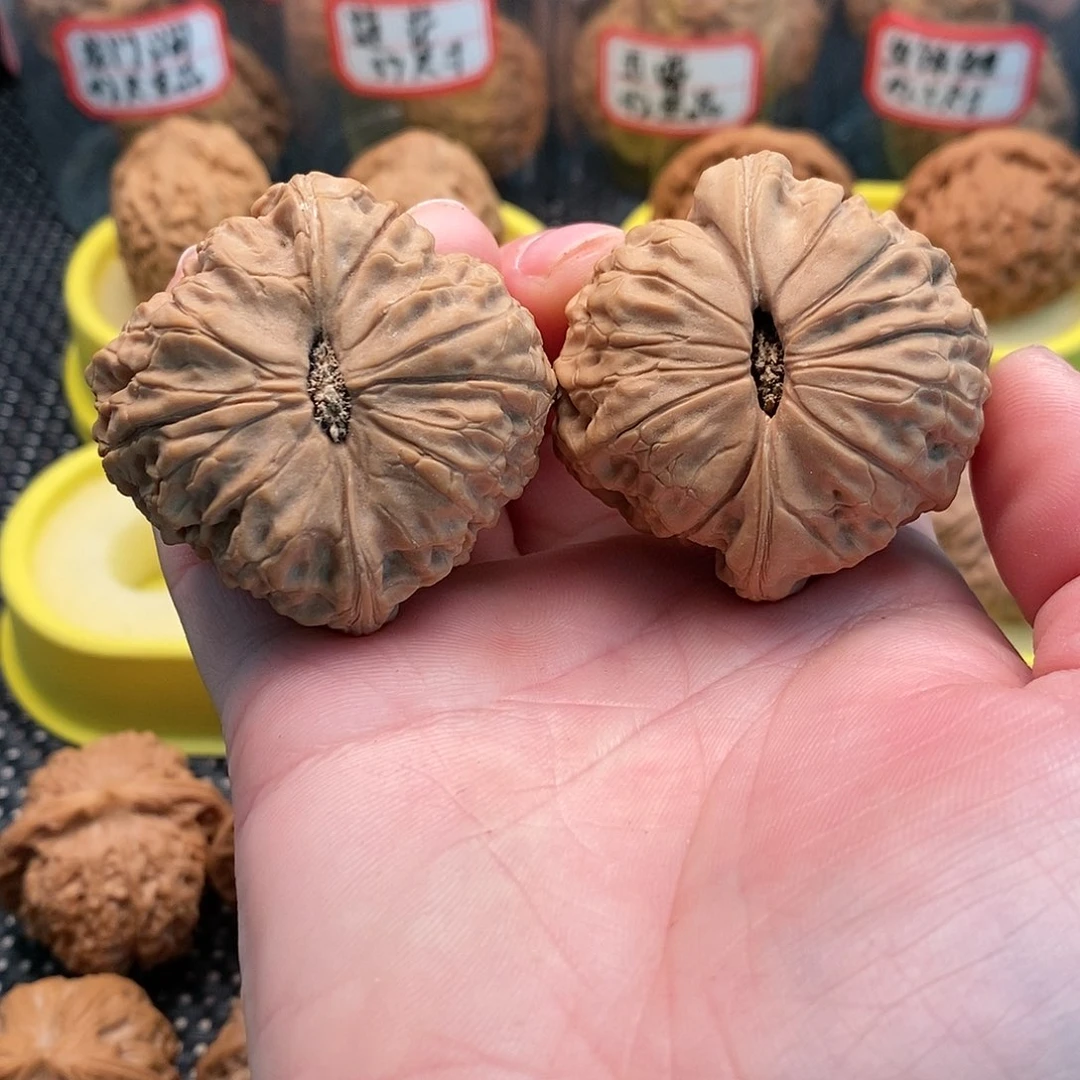 橄榄核手串/手链兹**极大团圆44全品