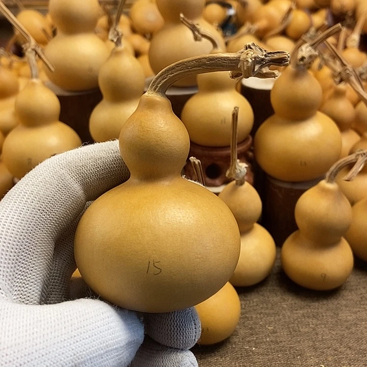 文玩葫芦 完美主义者 慎拍15