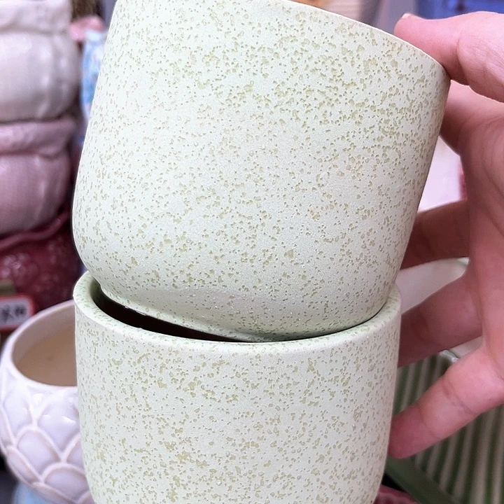 多肉植物陶瓷花盆