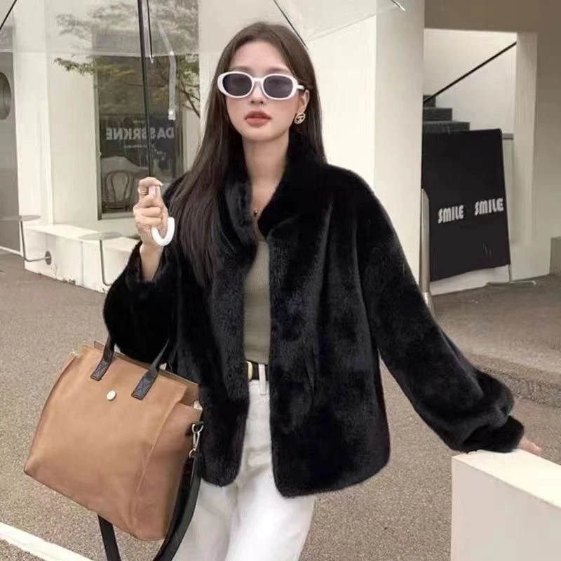 立领新款貂绒大衣女短款进口毛绒天鹅绒时尚简约外套女冬