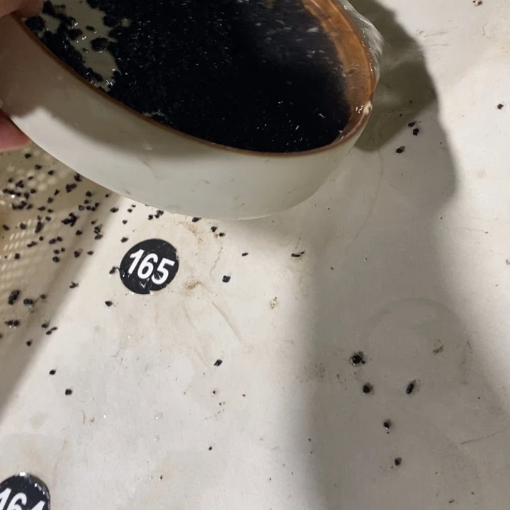 屹****完全开放一物一拍一物一拍103
