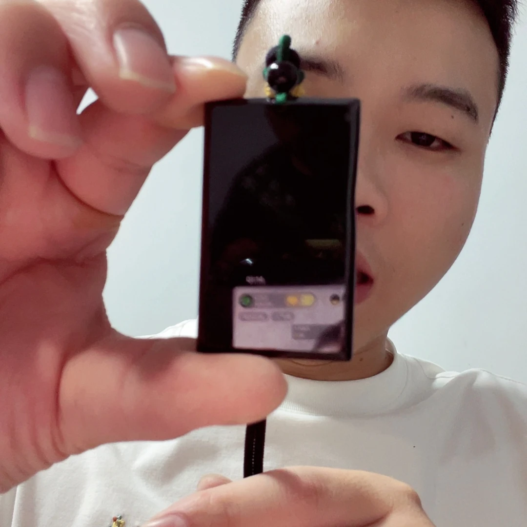 翡翠未镶嵌颈饰一物一证支持复检