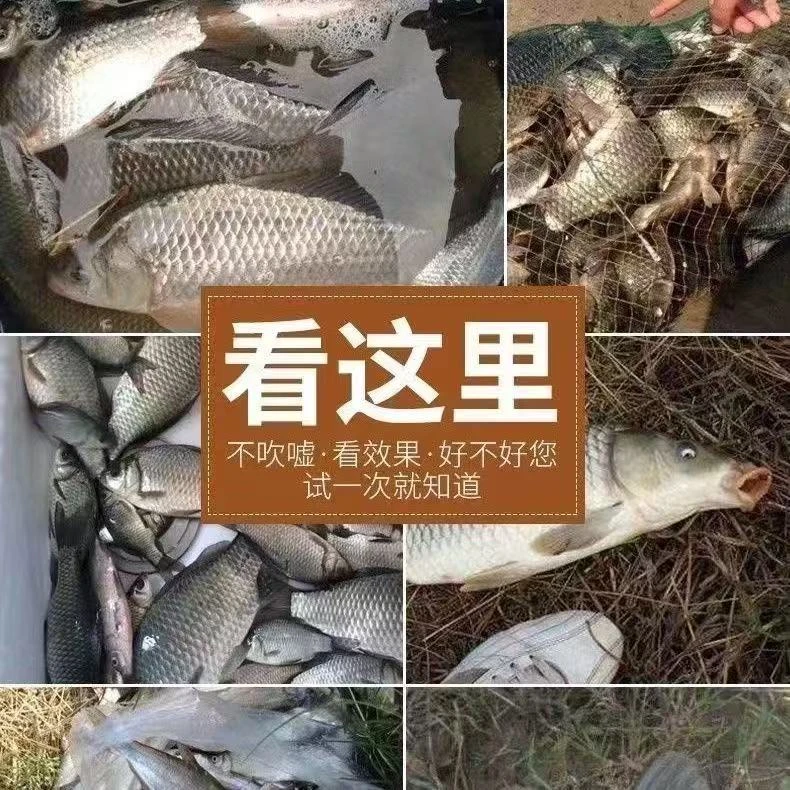 【兔兔】钓鱼高浓度钓鱼添加剂 随机发