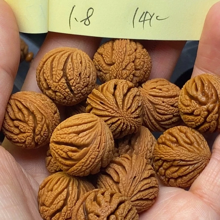 吊坠桃核秦岭龙纹桃核18尺寸