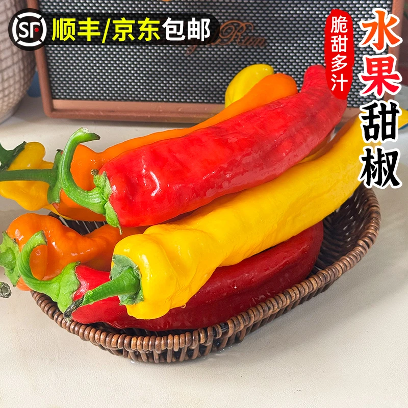 【脆甜|可生食】水果甜椒1-3斤彩椒新鲜水果辣椒芭蕾椒沙拉蔬菜