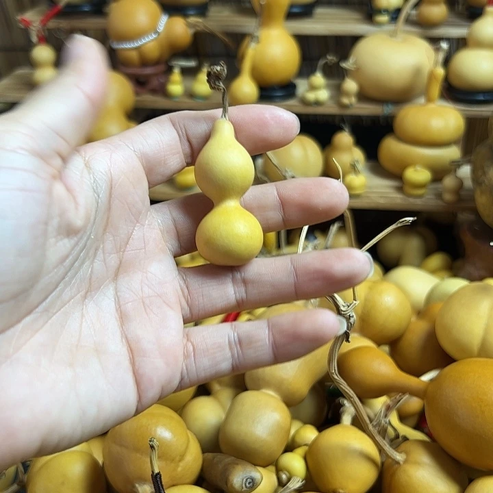 无***2葫芦葫芦葫芦葫芦