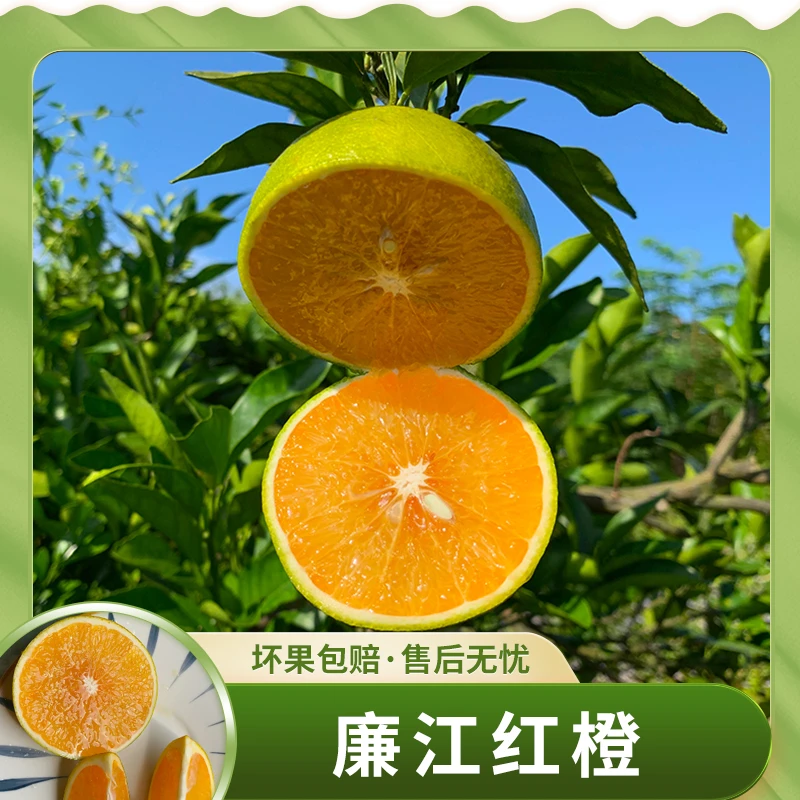 广东廉江红橙5斤小果装约15-25个/5斤中果装约12-15个 京东