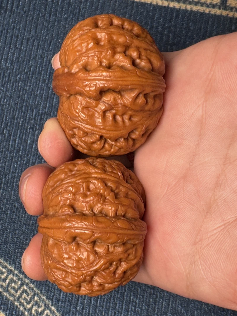 文玩核桃一物一图