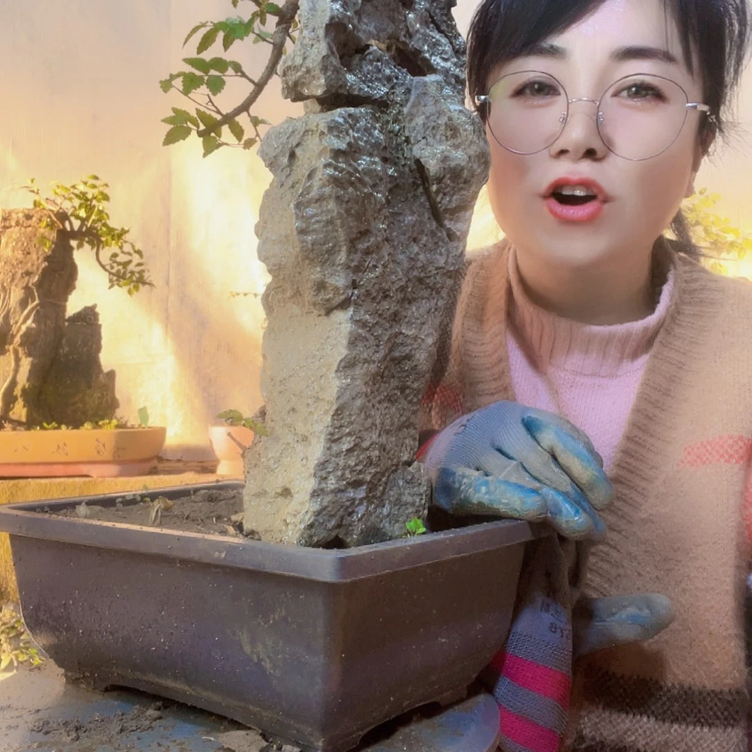 盆***艺无花朵直播间不见不散来看看有没有喜欢