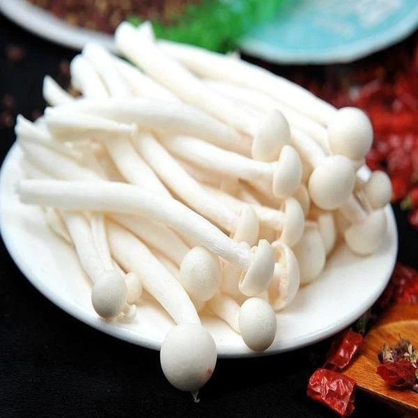 海鲜菇 250g/包