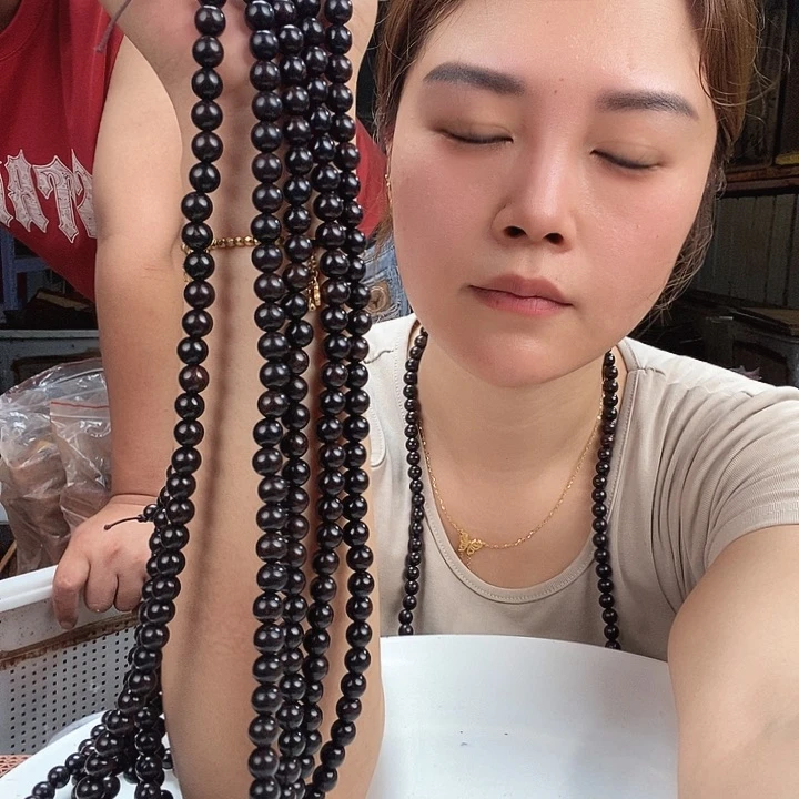 香榧木啊啊啊啊啊啊啊啊啊