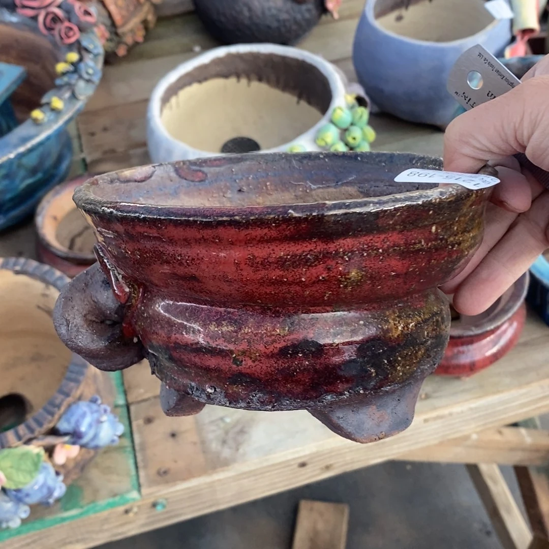 198号多肉盆口径14