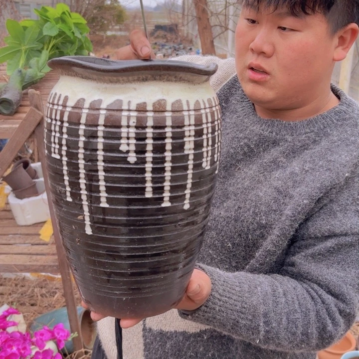 红陶口径 高度 花盆19 30