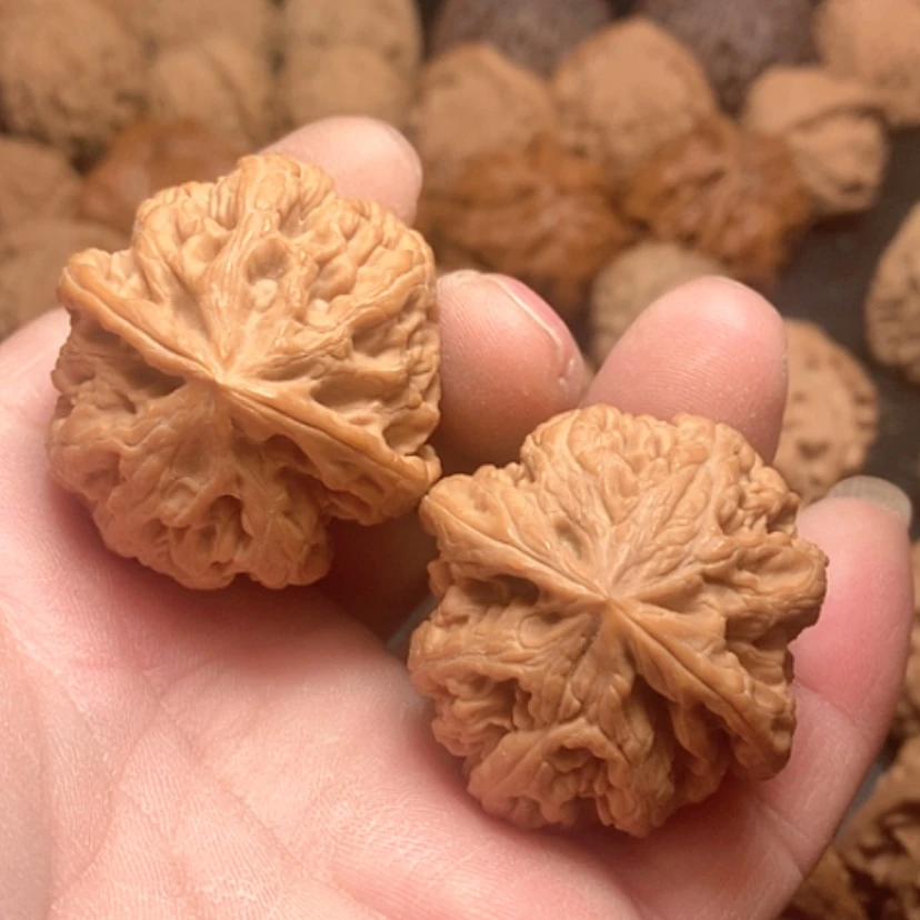 【闪购商品】大粗筋