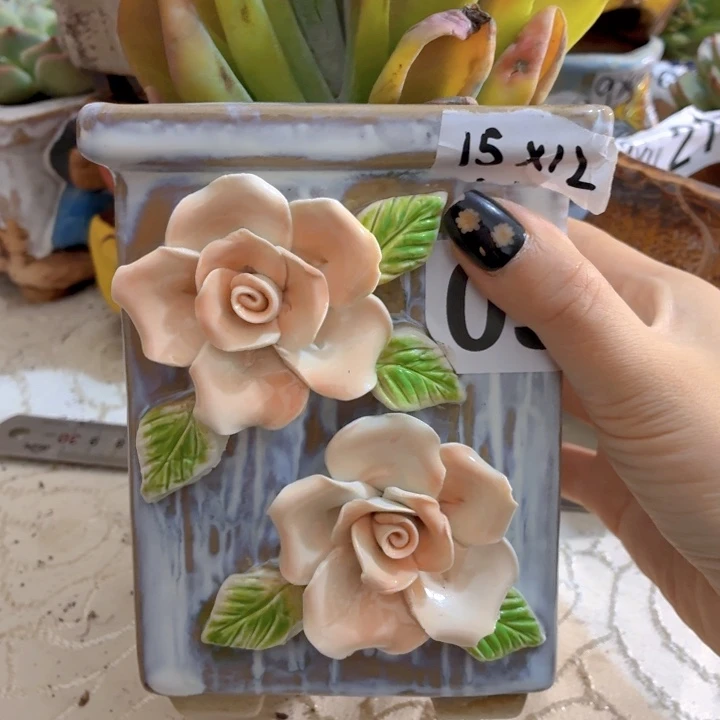 多肉花盆满15包邮