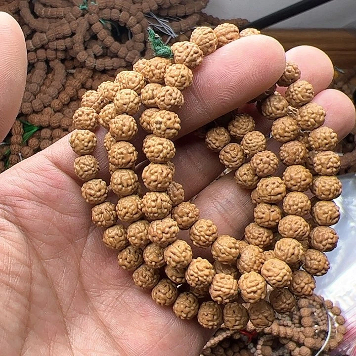 金刚菩提手串阳***?好评