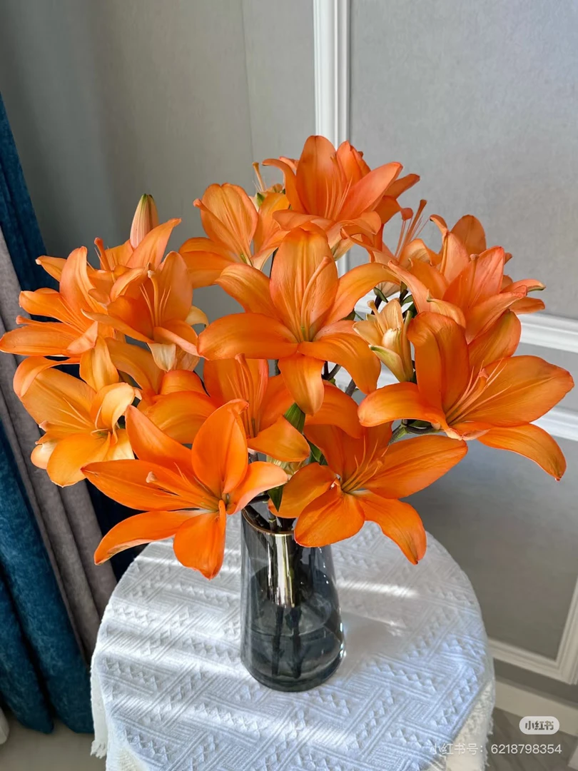 11号橙色梦想亚百合没香味，我要买我不售后