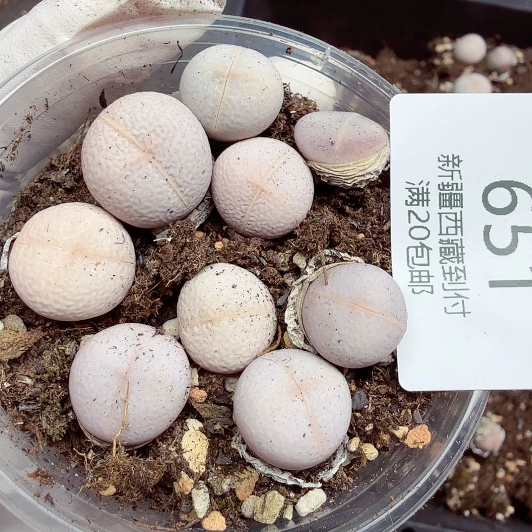 小***'这个夏天一起玩一起吃饭吗、651不